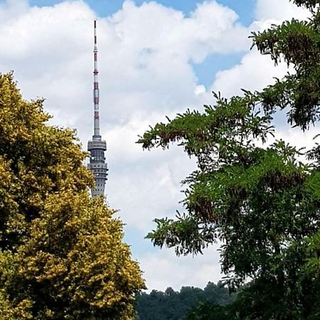 Ferienwohnung Elbhangblick - Fur 2 Personen Dresden Eksteriør billede